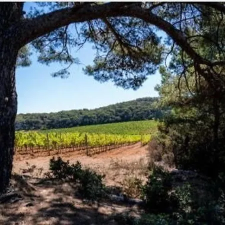 Appartement 2 Pces, 4 Couchages, Terrasse, Parking, Piscine, Proche Et Commerces - - Fr-1-251-558 Le Lavandou