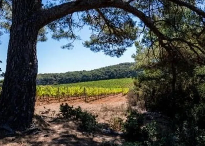 Apartman 2 Pces, 4 Couchages, Terrasse, Parking, Piscine, Proche Et Commerces - - Fr-1-251-558 Le Lavandou